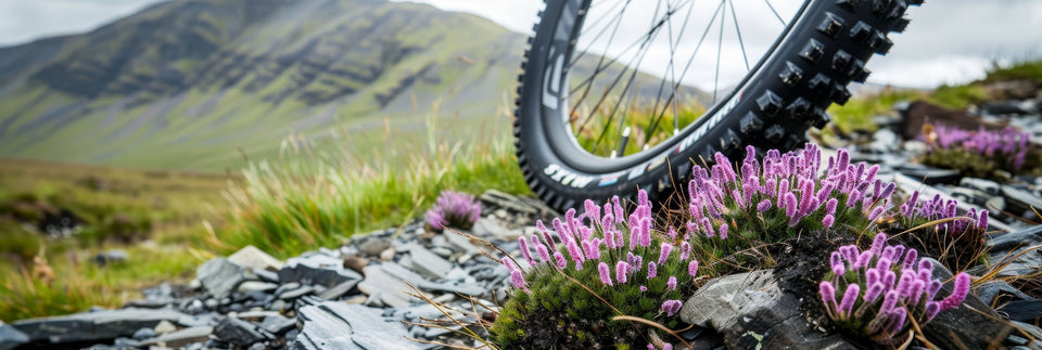 Light Up Your Ride: The Ultimate Guide to Colorful Bike Wheel Spoke Lights